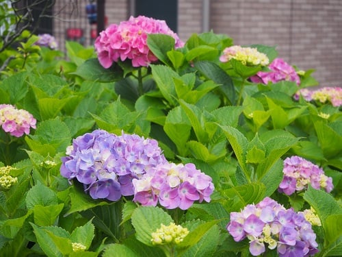 ◆5月31日（火）