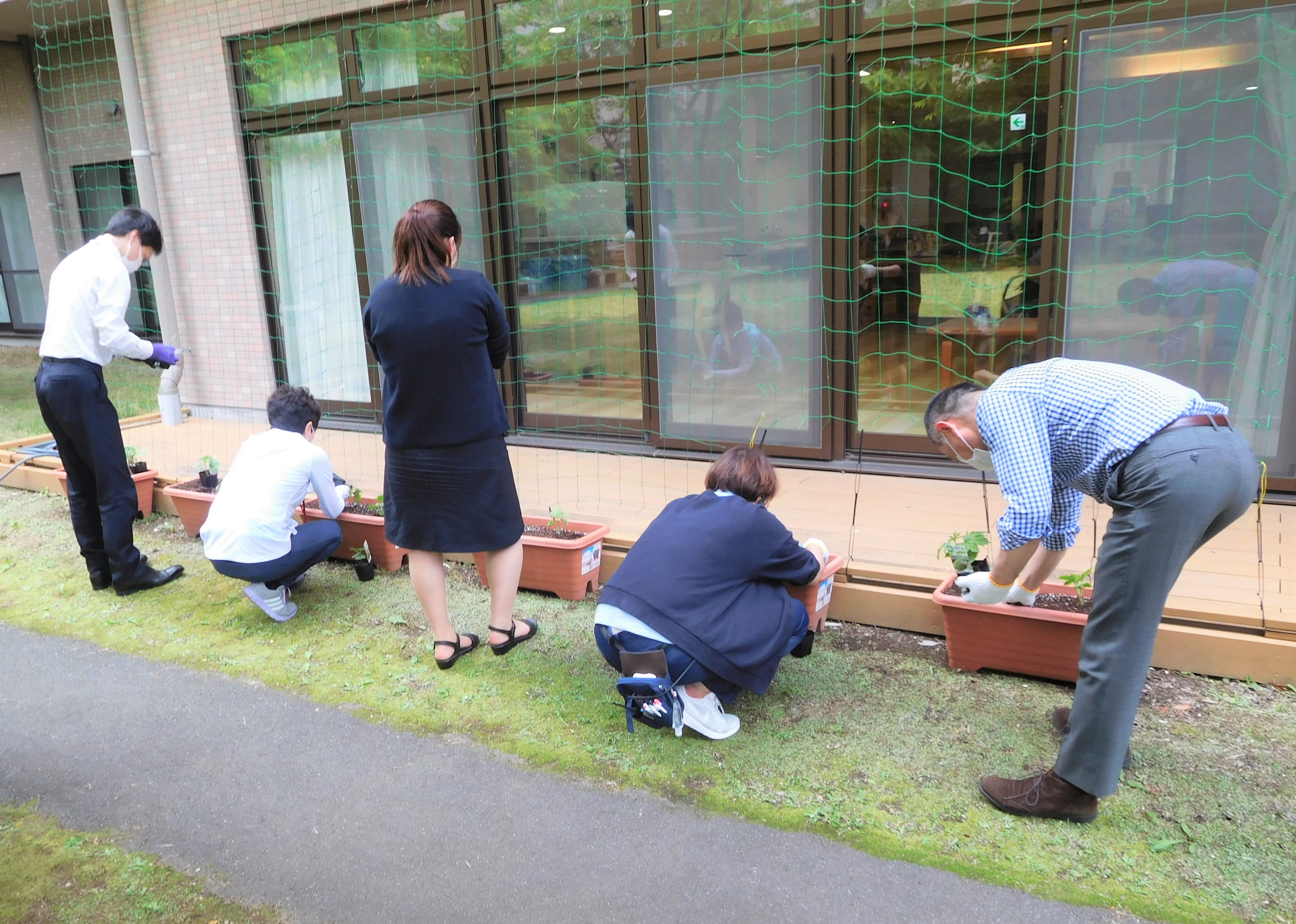 次にケアセンター1階ベランダ脇にゴーヤの苗を植えます
