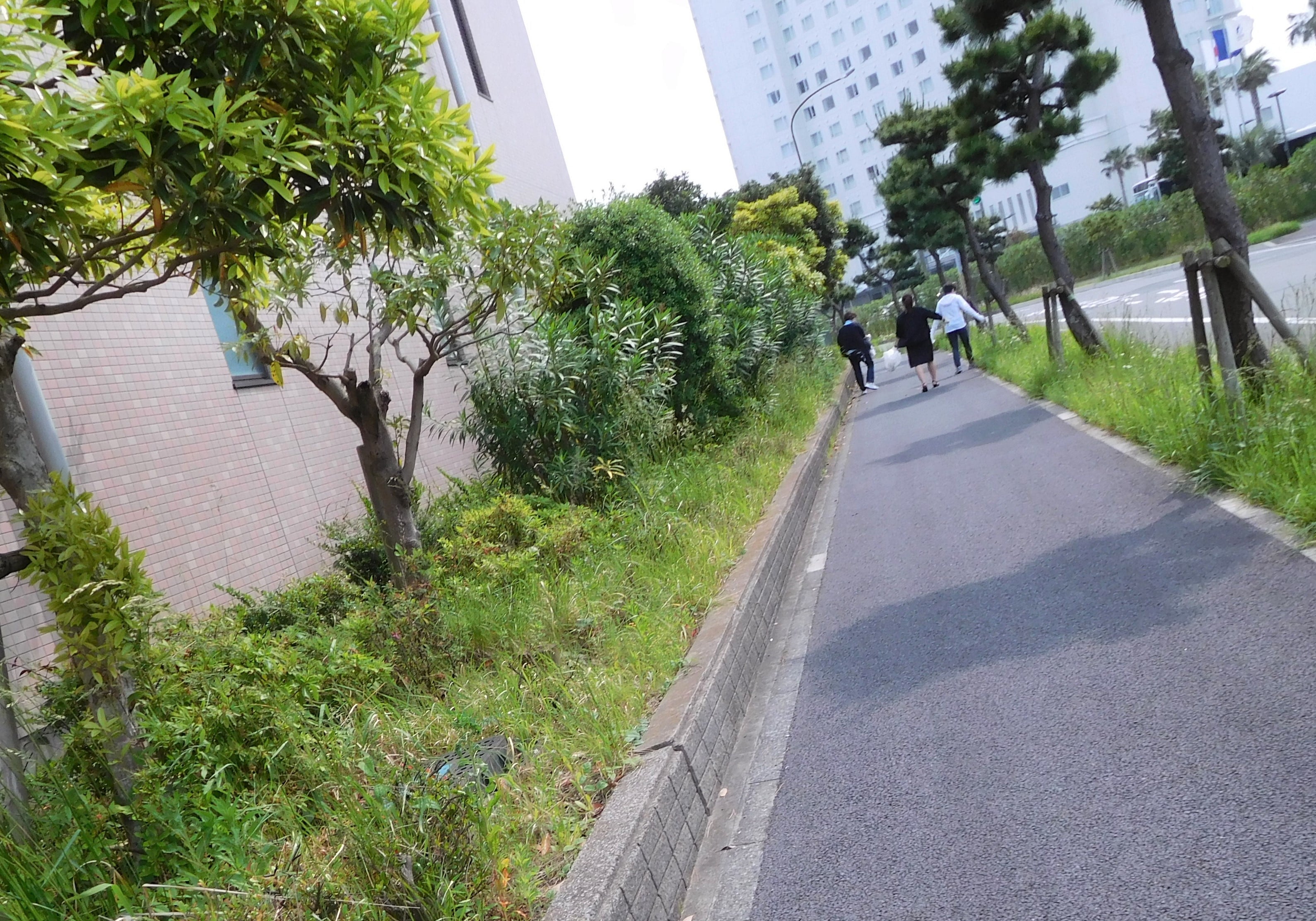 園周辺のゴミ拾い開始
