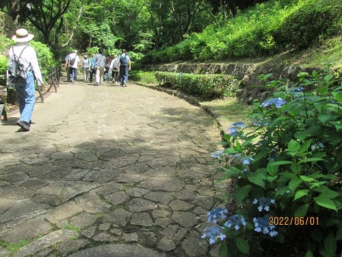 ◆大庭城址公園到着