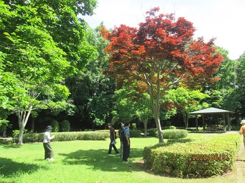 ◆芝生広場で写真のスポット探しスタート