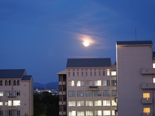 展望フロアから見える今年最後の満月「コールドムーン」