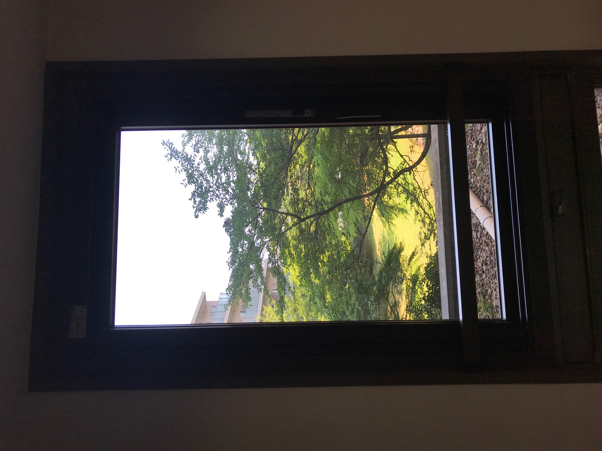 今回は2階の窓から、青々と葉を茂らせた木立をご紹介いたします。