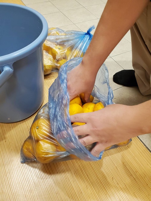 傷んだものがないか確認し、綺麗に洗います。
