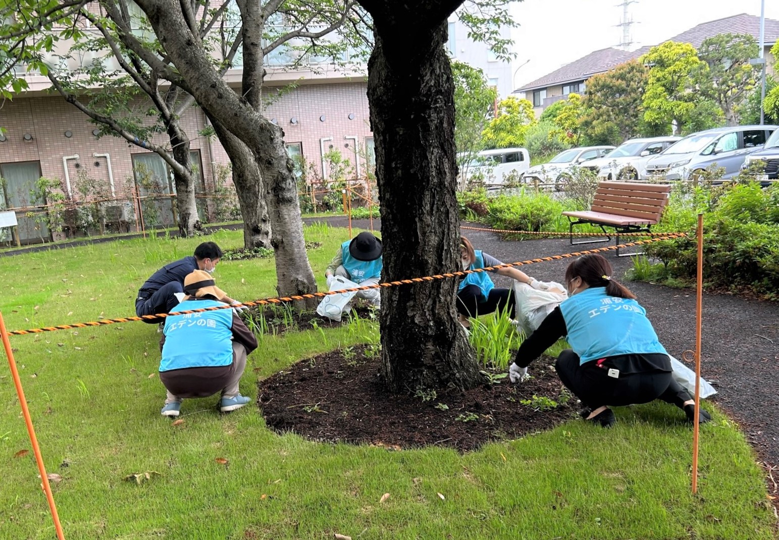 次は中庭の草むしり作業です。