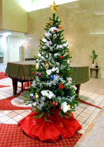 もうすぐクリスマス！