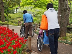 春だ♪チューリップを見に行こう