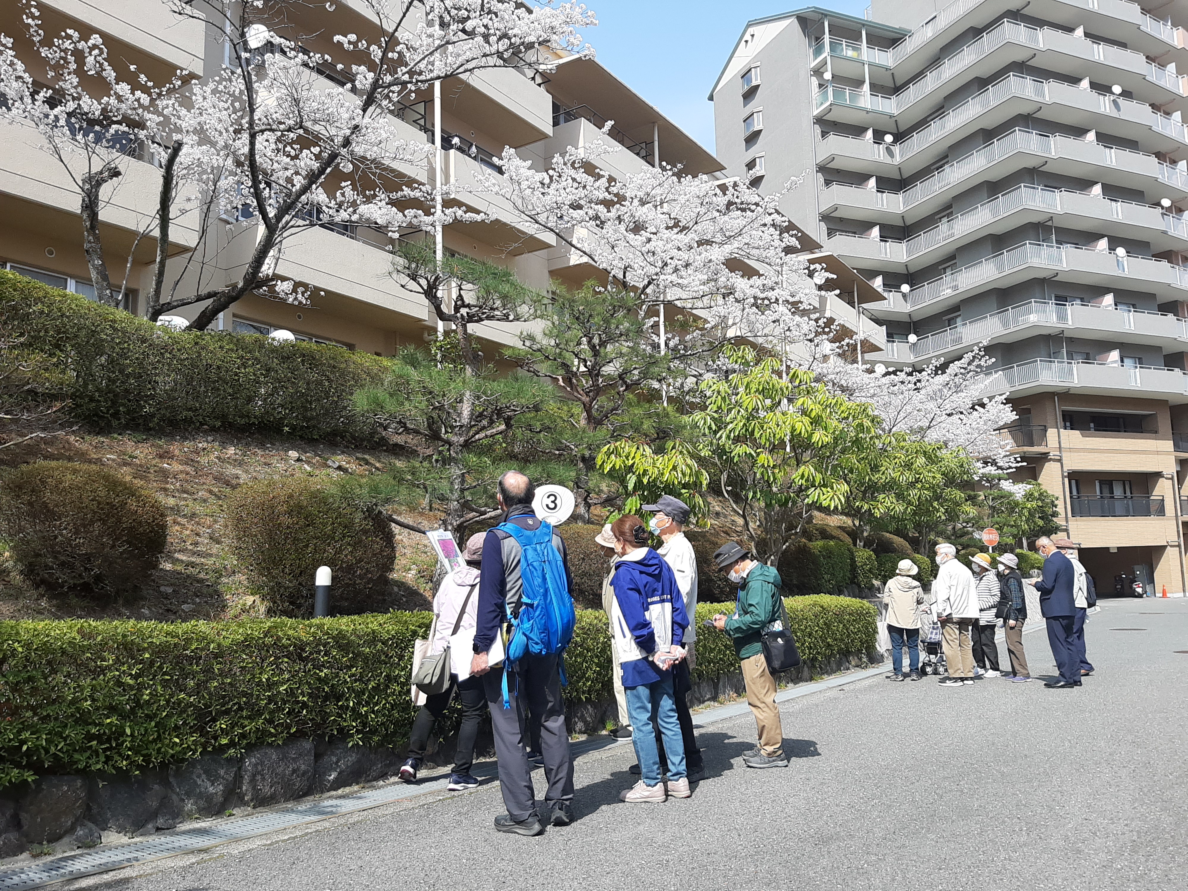 見学の様子