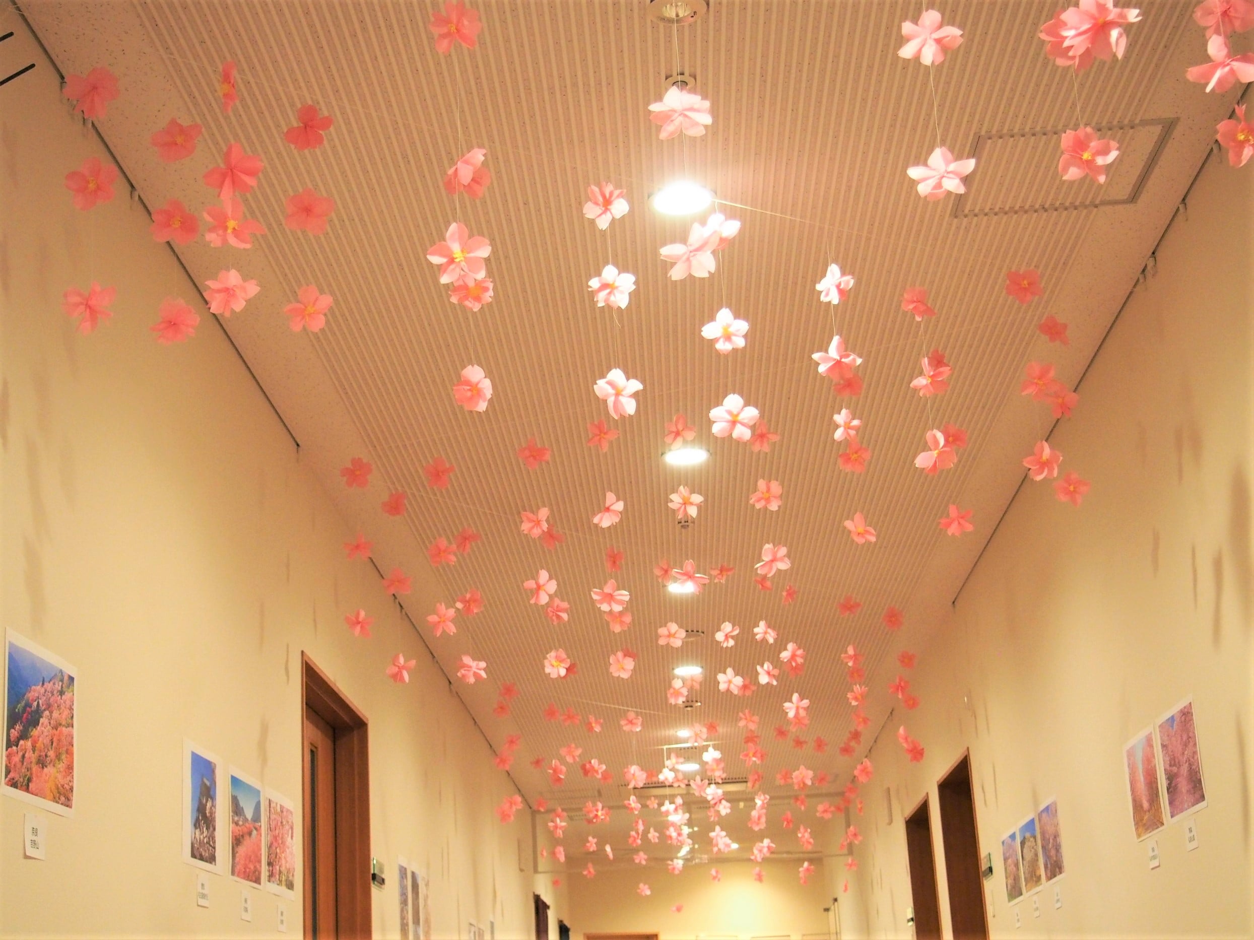 4月：桜の通り抜け
