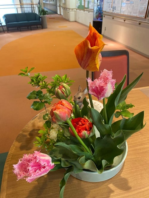 お花は全部育てられたチューリップです。