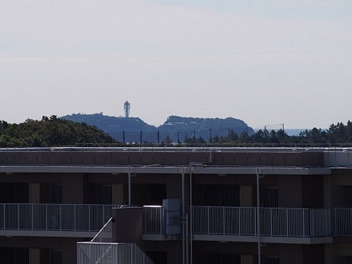 屋上から望む江ノ島