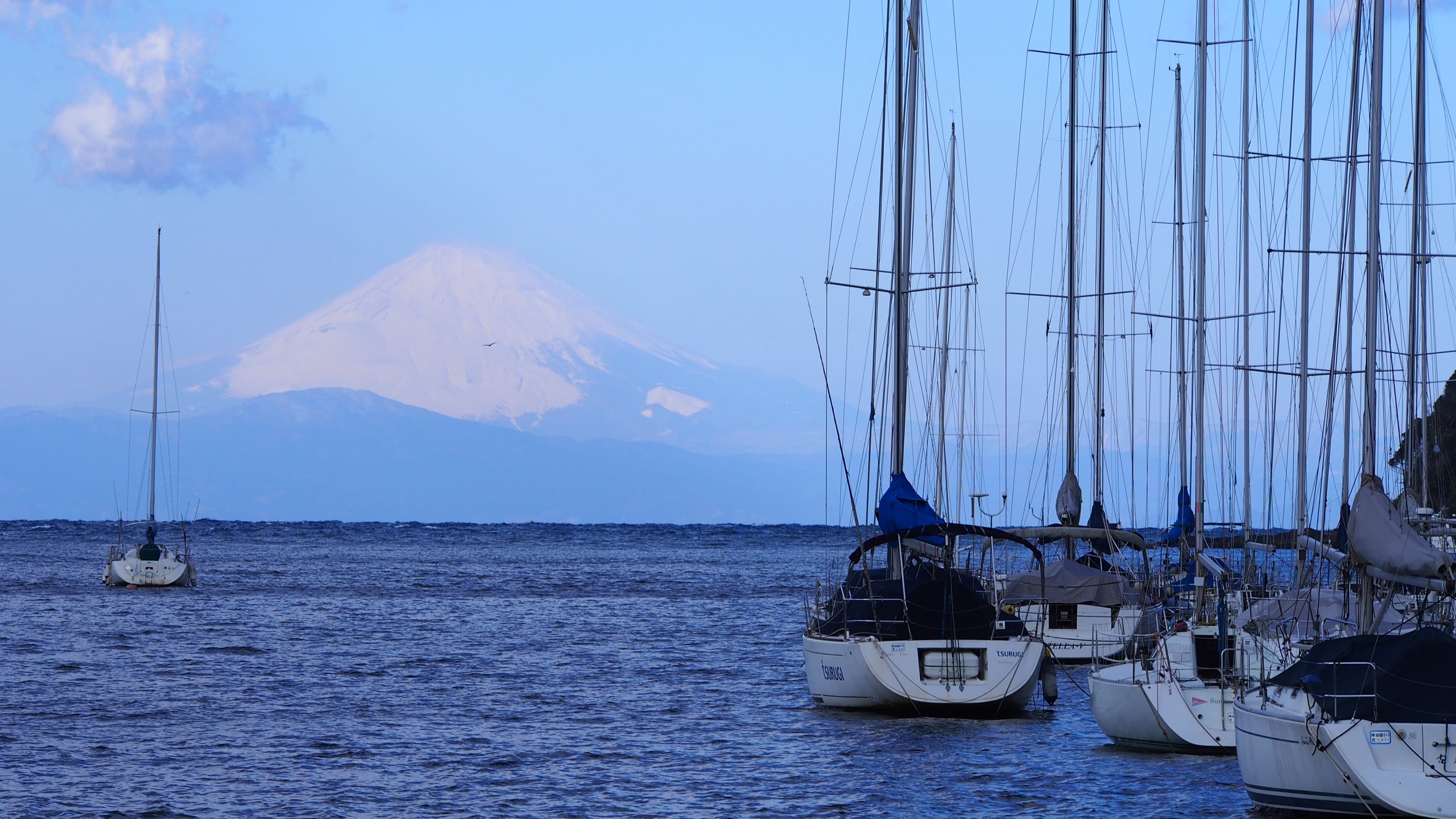 令和3年睦月　諸磯湾から望む富士山