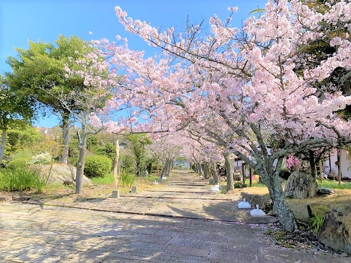 桜～聖墓苑～