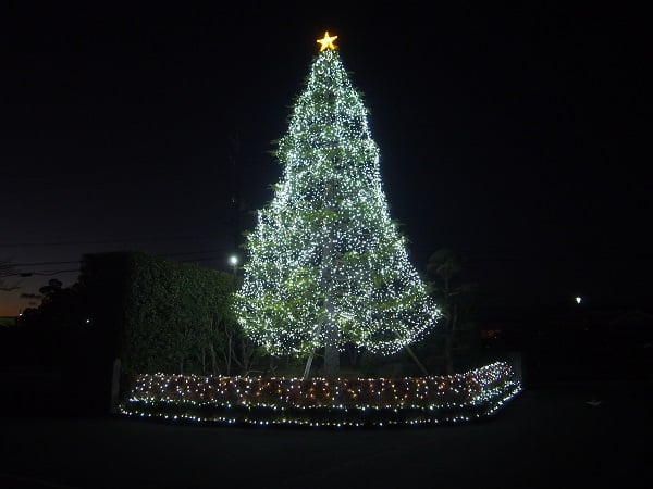 聖隷クリストファー大学のクリスマスイルミネーション！