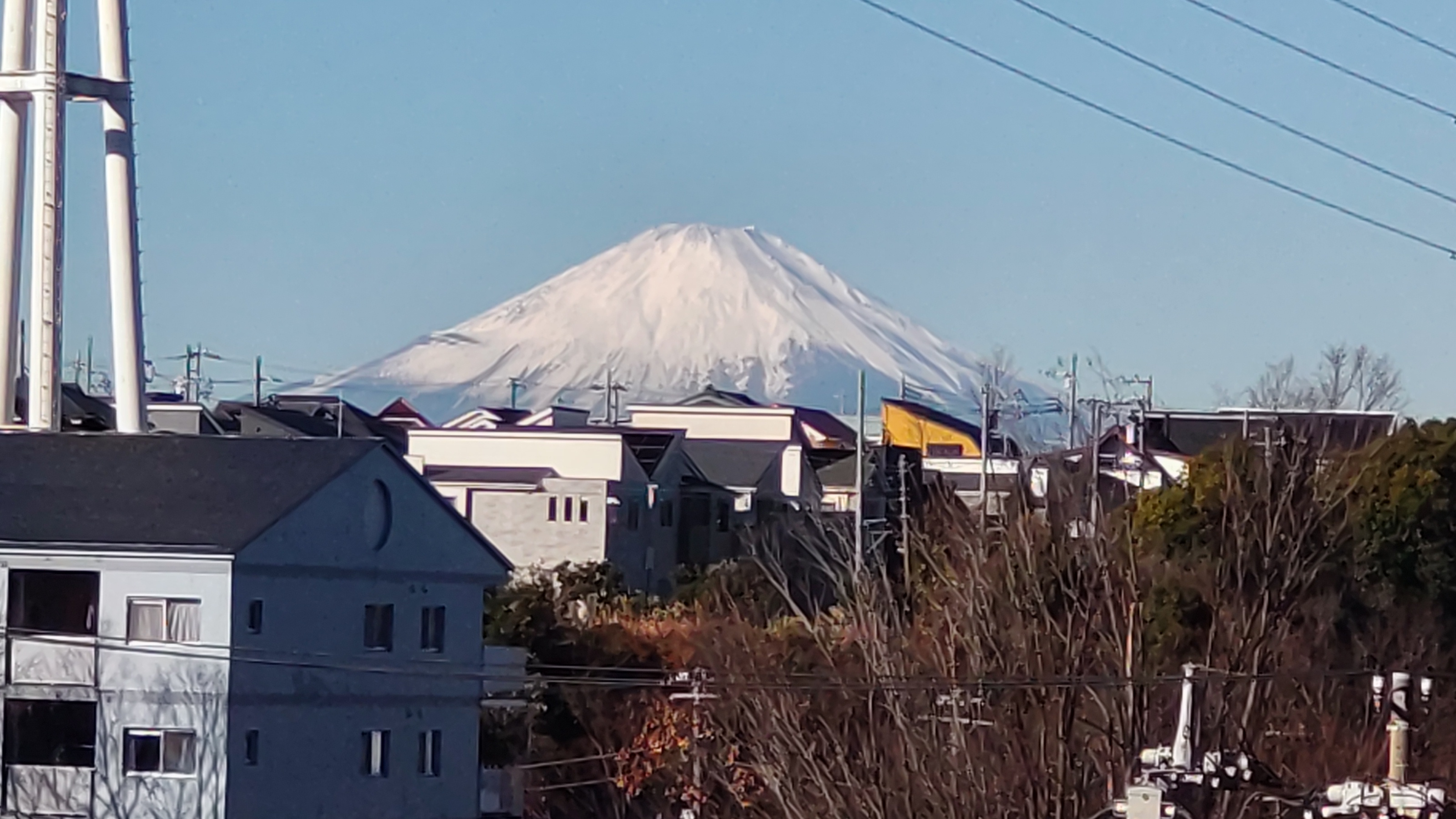 すっかり雪化粧♪