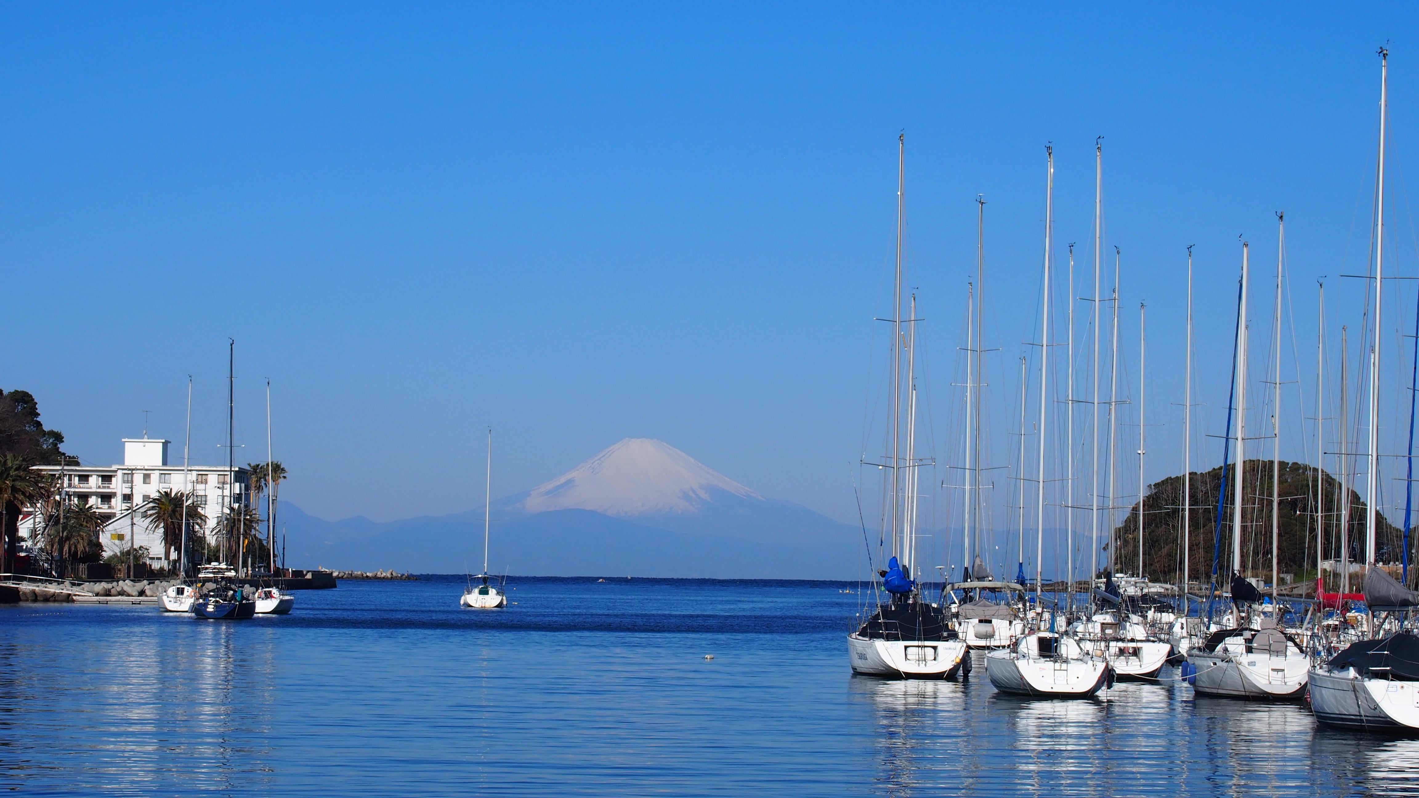 今日の富士山