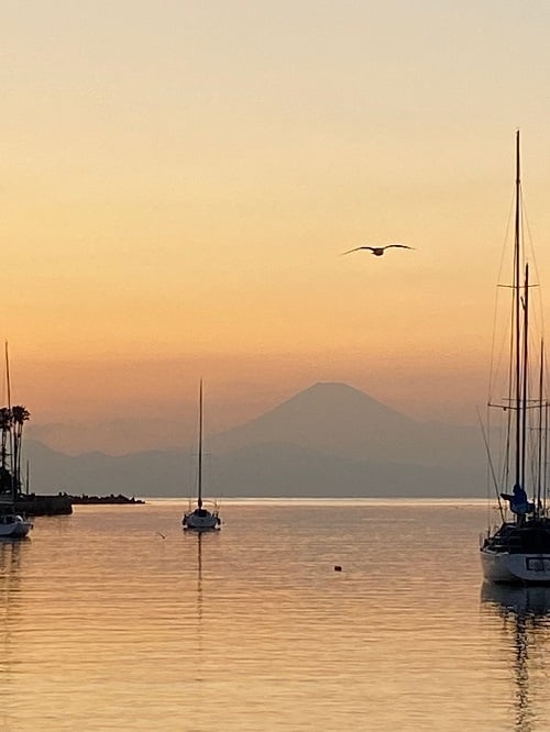 ３月６日、夕方の富士山