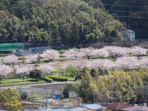 引地川②