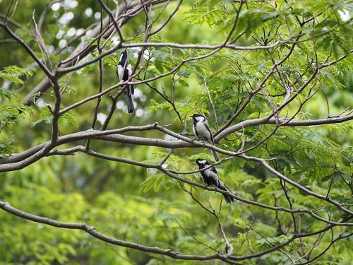 癒しの空間～二番構公園②～