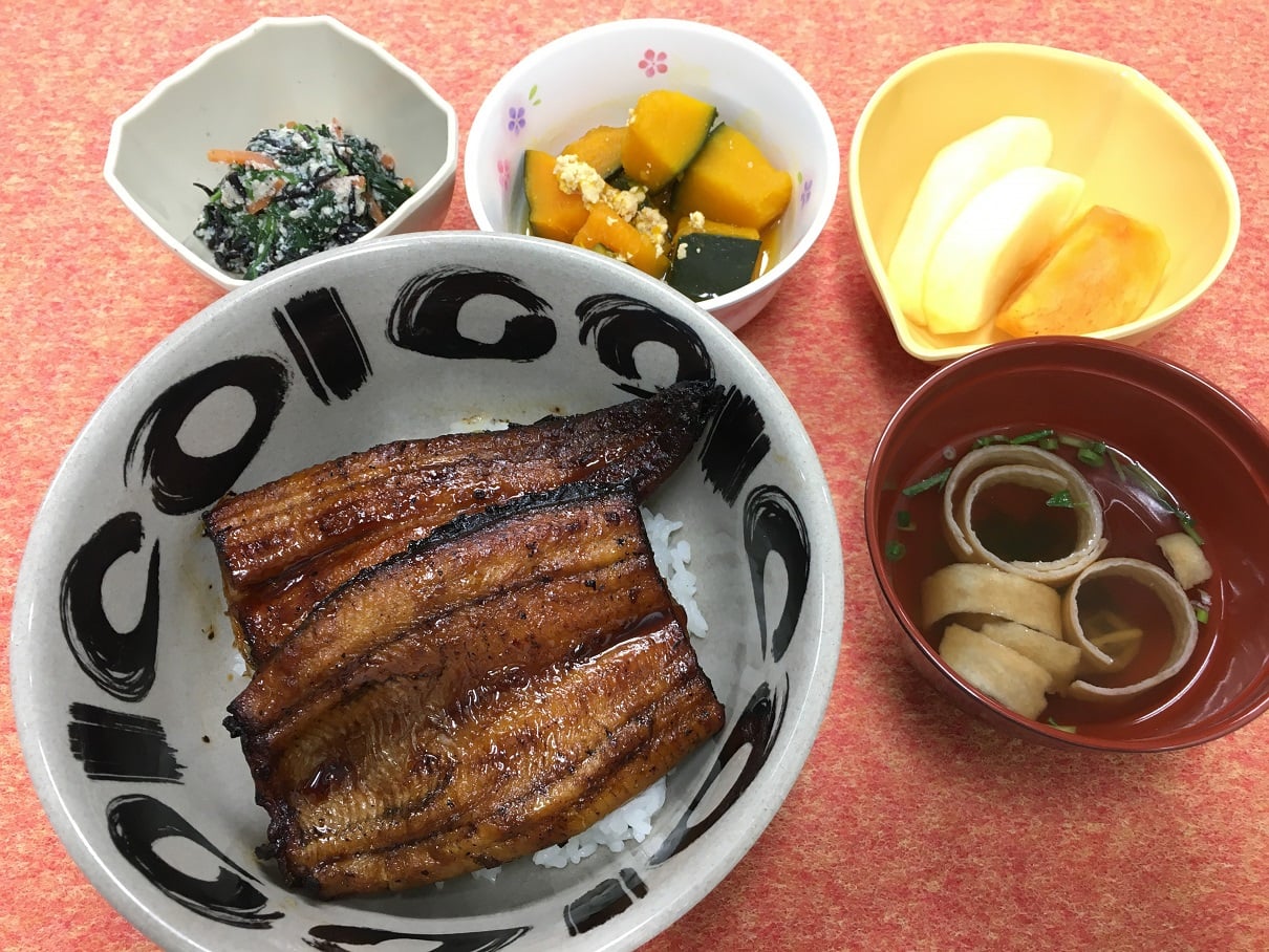 特別献立　浜名湖産鰻丼定食