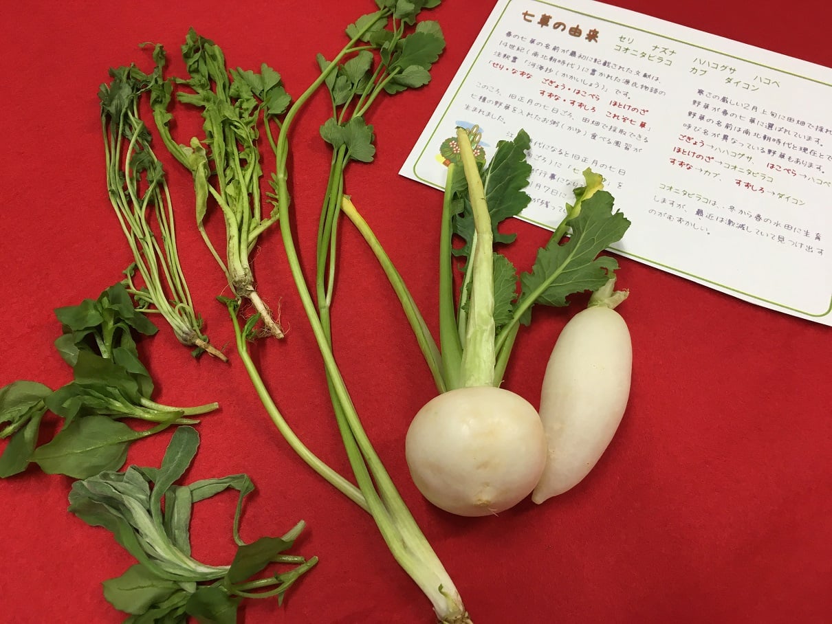 七草粥に使用した春の七草