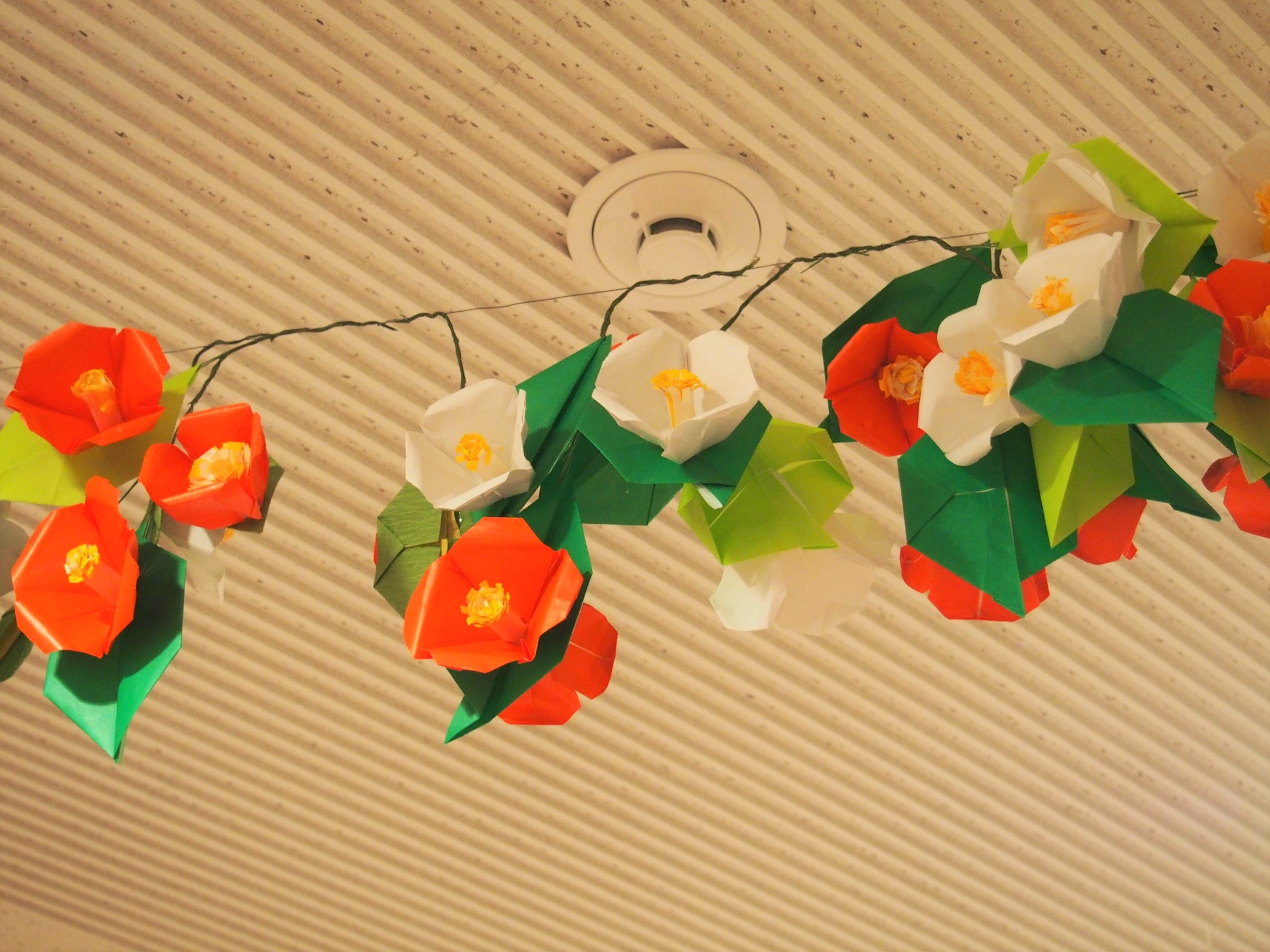 椿の花