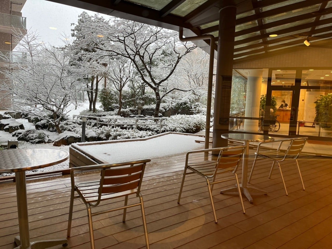中庭が望める喫茶こもれびでは、温かい飲み物を片手に降り続ける雪を眺められている方も。
