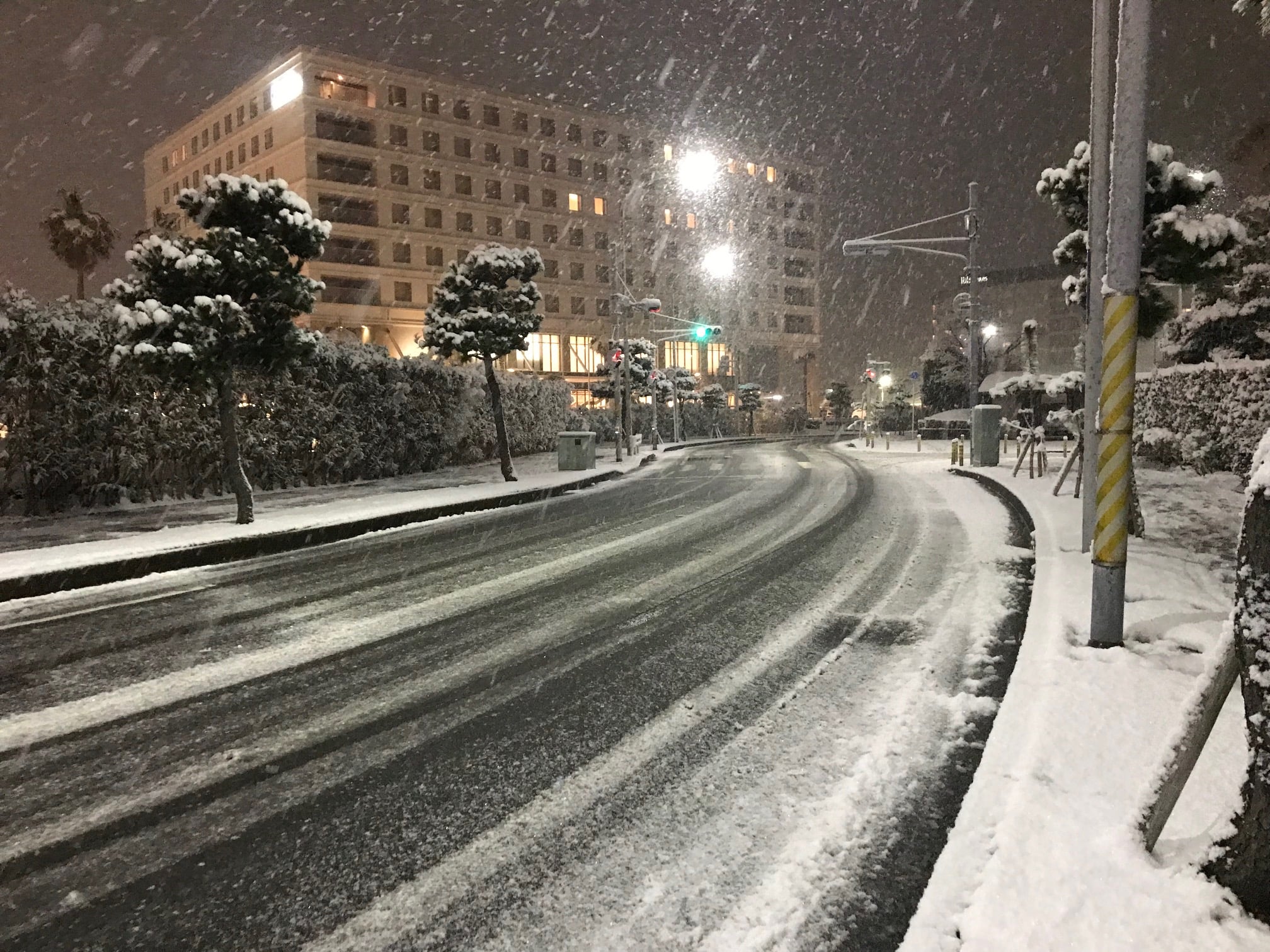 周辺の様子（園の敷地を出てすぐの通り）
