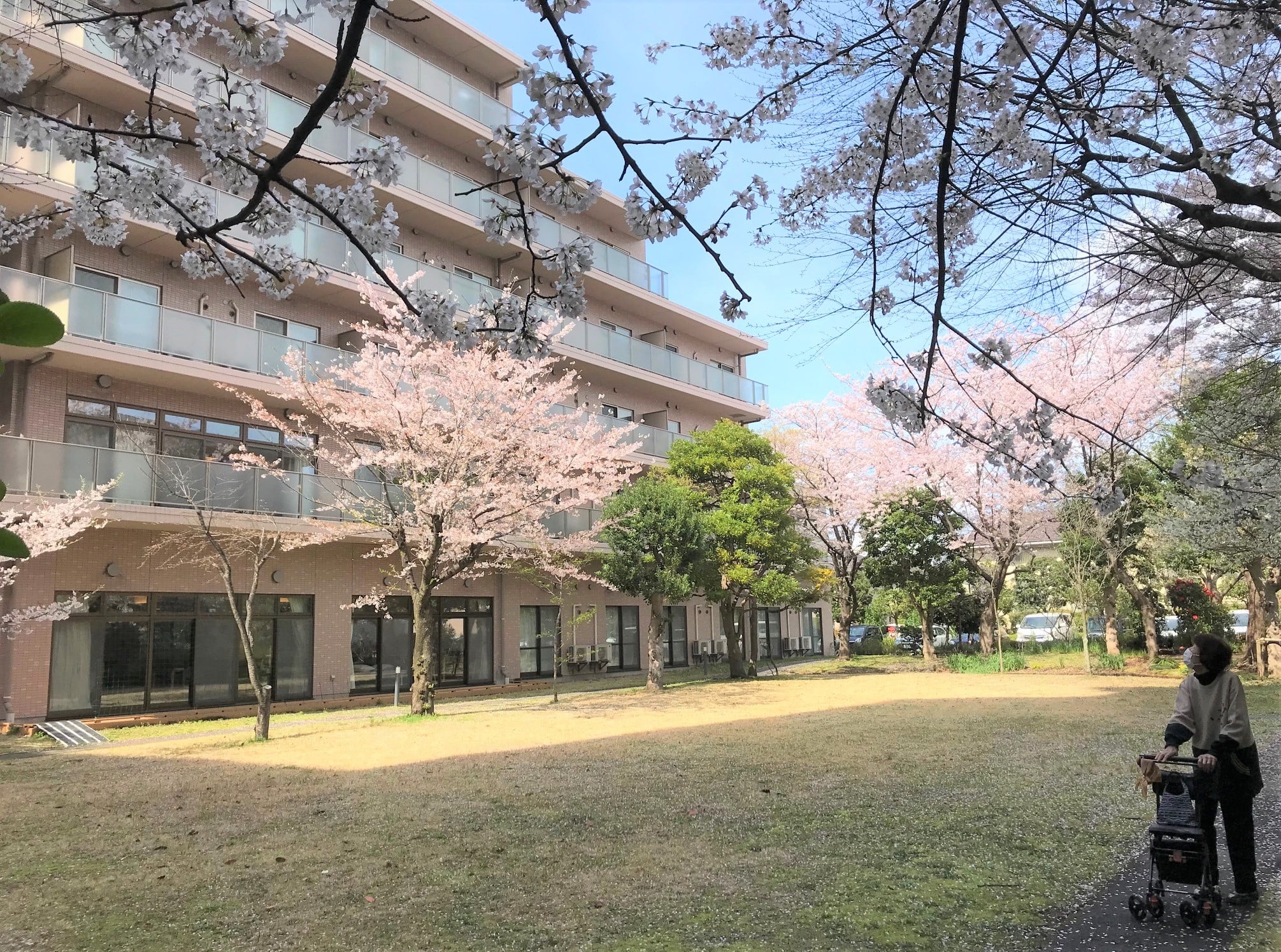 雨上がりの中庭を散策