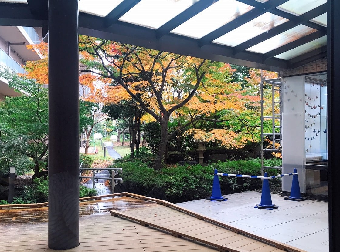 枯山水の紅葉