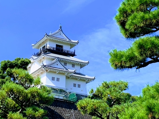 掛川城とは・・・（掛川市HPより引用）