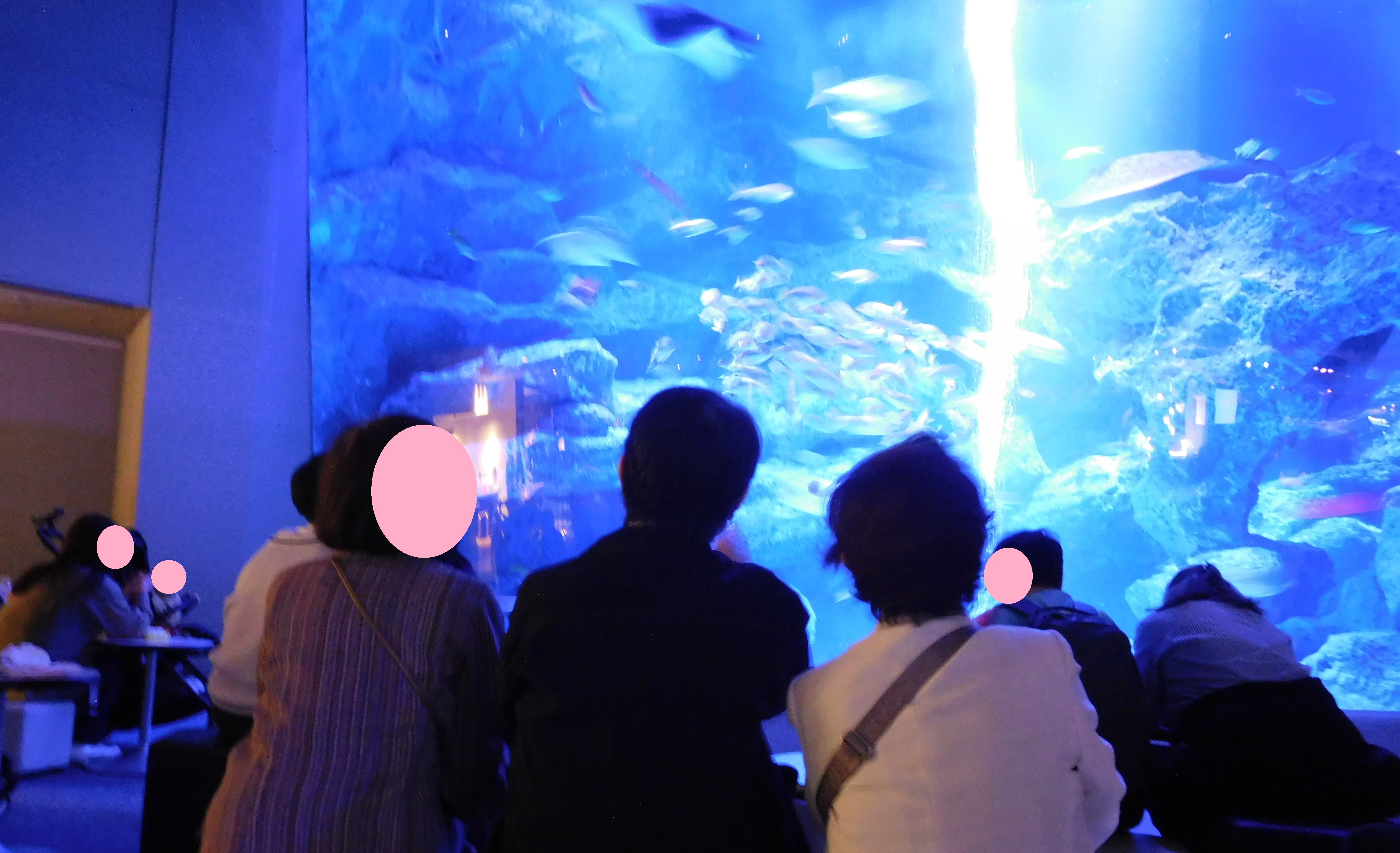 すみだ水族館内