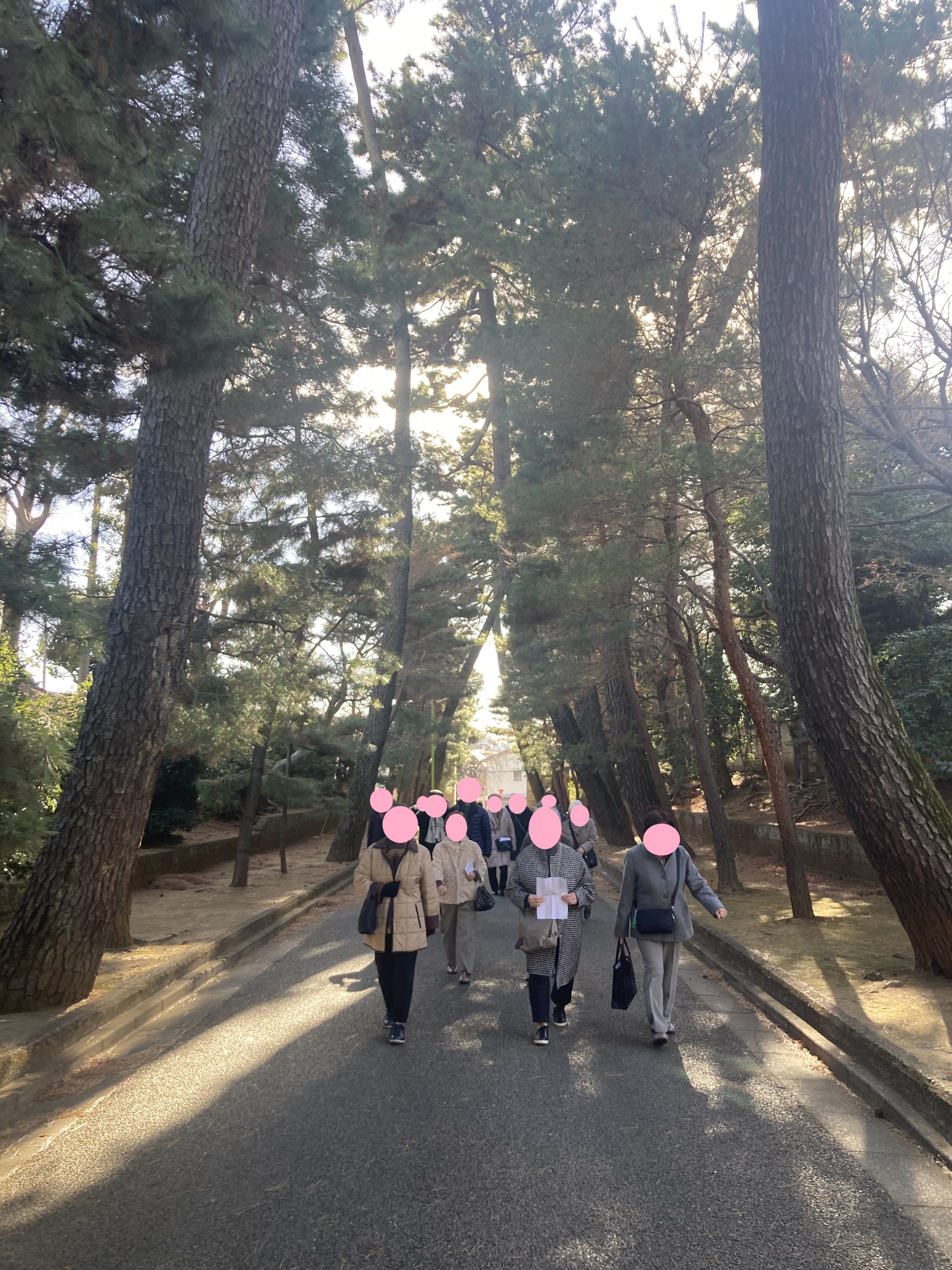 ランチ後に世田谷豪徳寺へ向かいました
