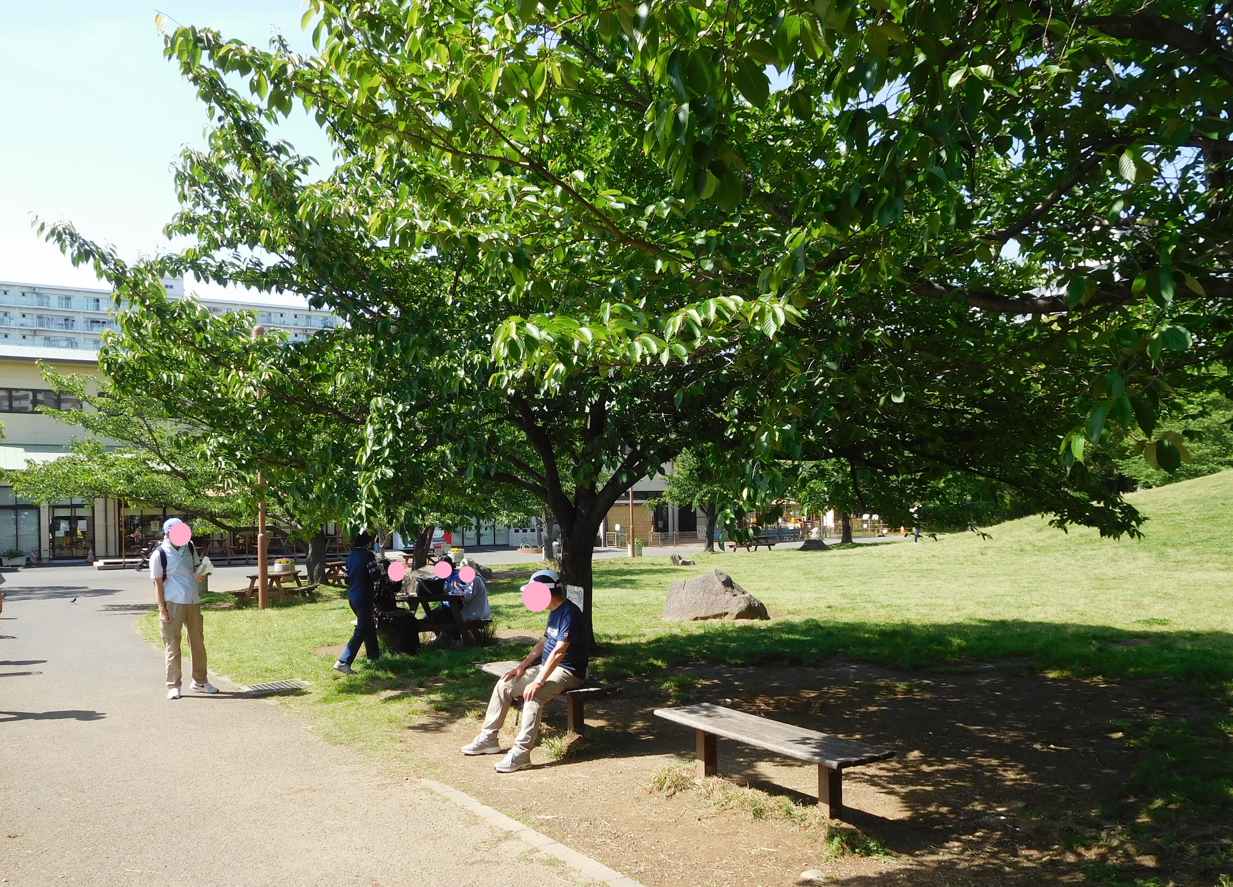 若潮公園に到着