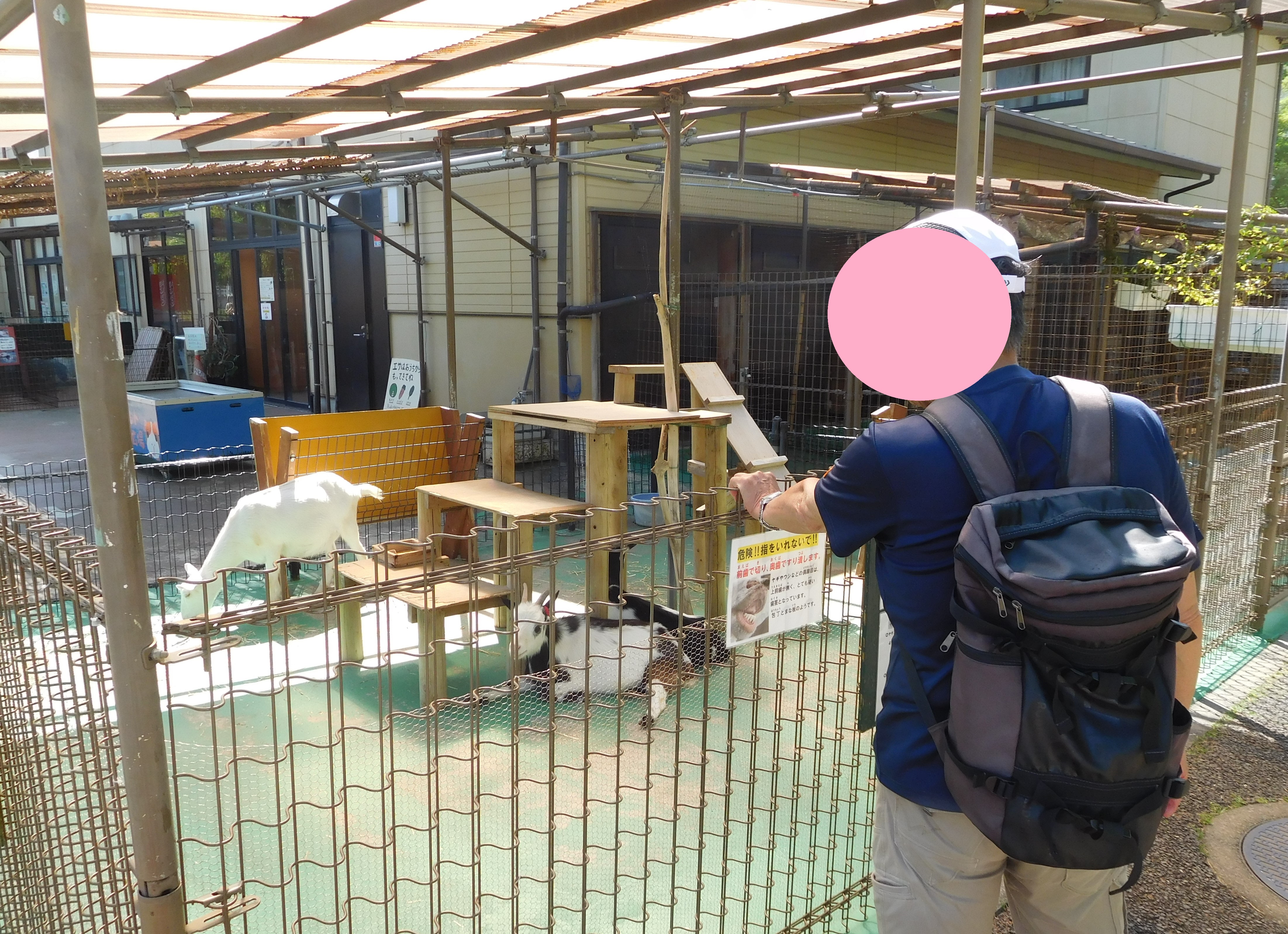 公園内にある動物広場