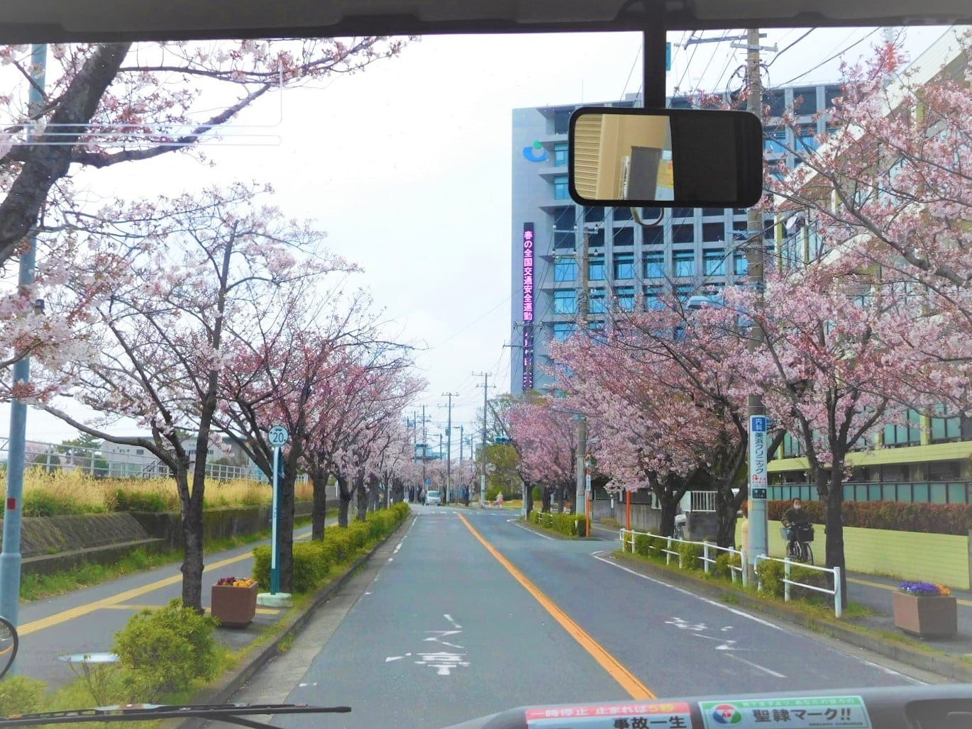 浦安市役所方面の川沿い