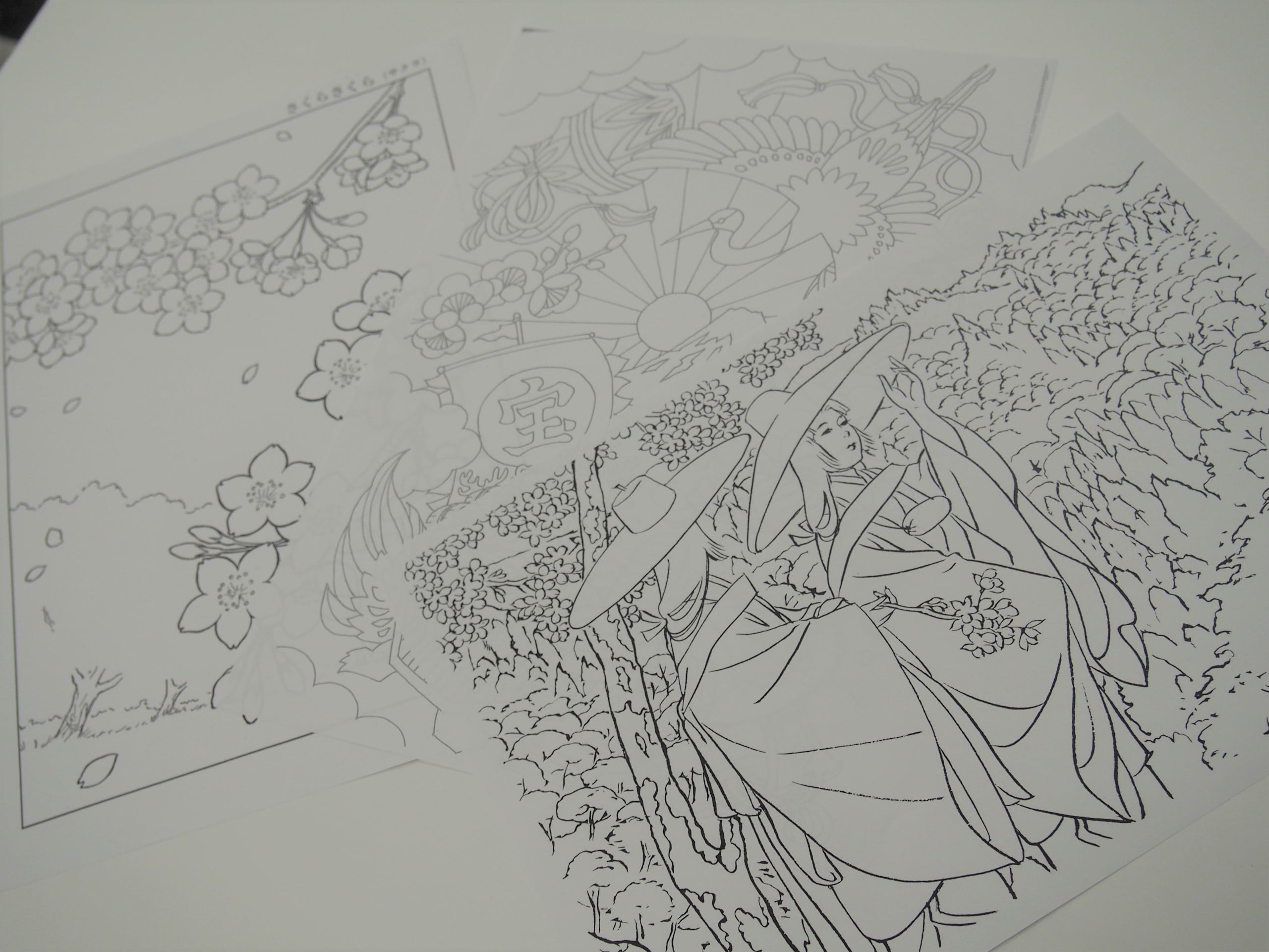「塗り絵」の一例