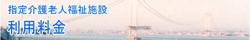wVl{݁@p