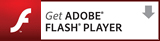 Get FLASH PLAYER