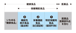 サプリメントと健康食品の比較