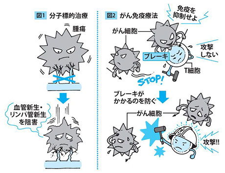 薬物療法の原理解説イラスト