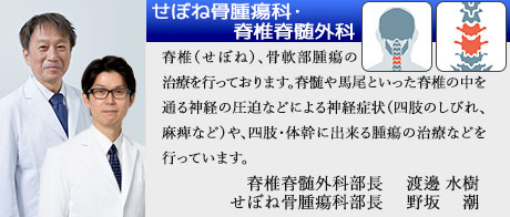 せぼね骨腫瘍科・脊椎脊髄外科