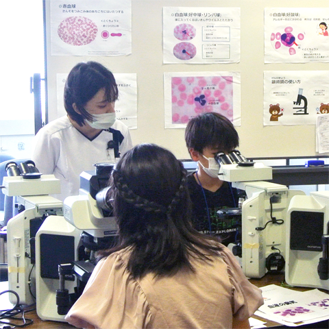親子で楽しむメディカルフェスティバル　検査課では顕微鏡で細胞を観察