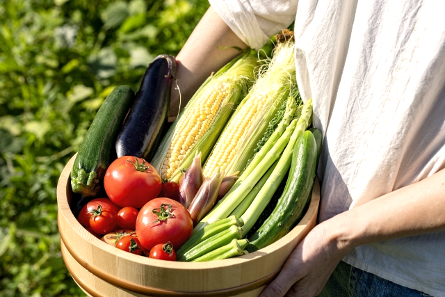 夏野菜
