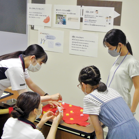 親子で楽しむメディカルフェスティバル2024　内視鏡検査生検体験
