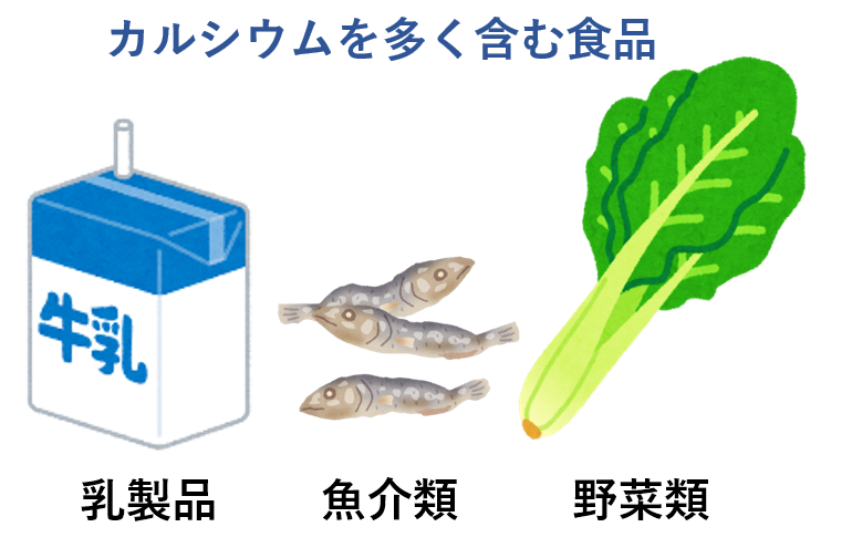 カルシウムを多く含む食品