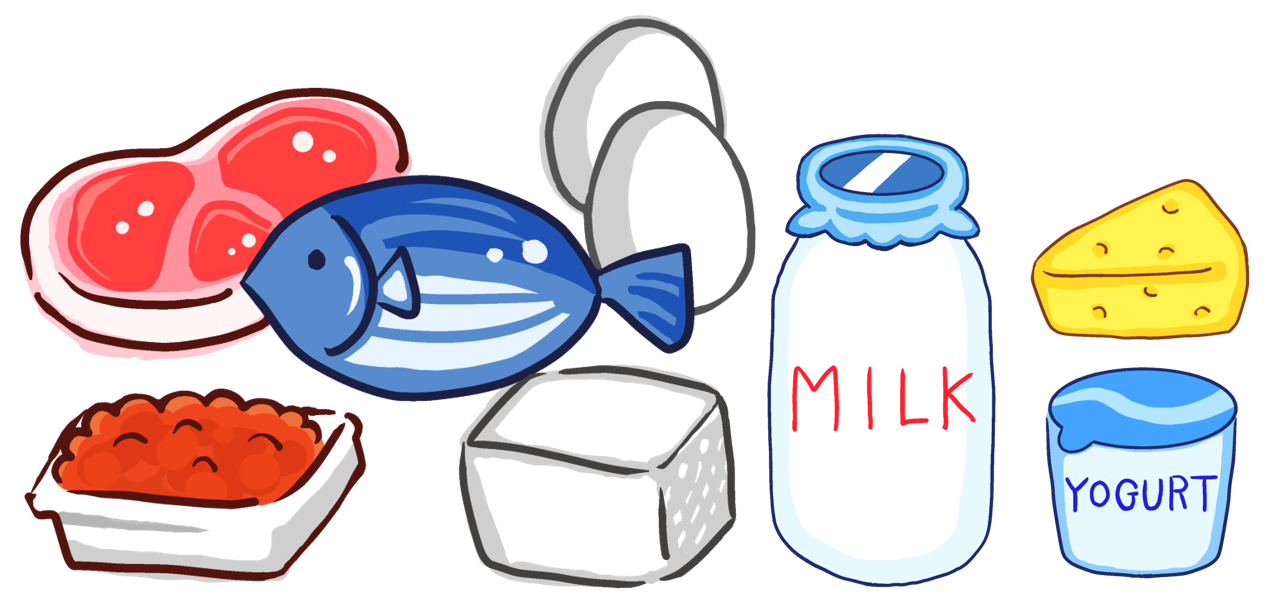 たんぱく質を多く含む食品