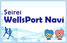 Seirei WellsPort Navi