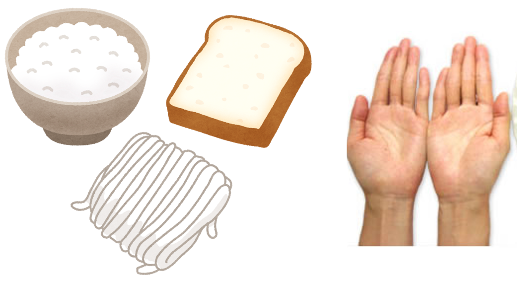 主食の適量