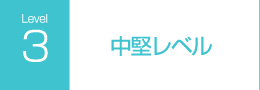 中堅レベル
